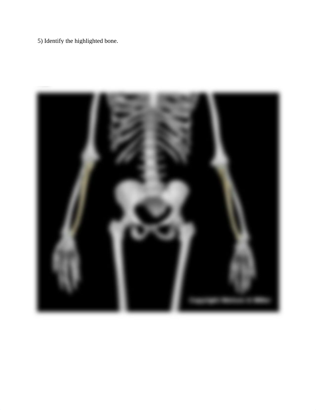 Upper Limb ID worksheet.docx_dm5fag10csw_page5