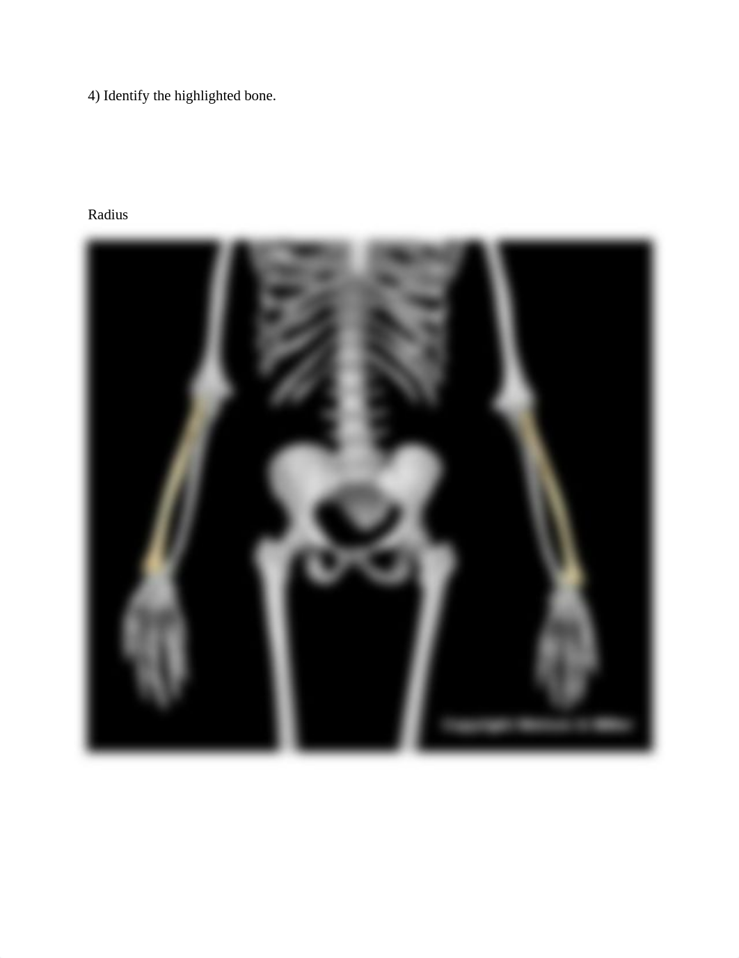 Upper Limb ID worksheet.docx_dm5fag10csw_page4