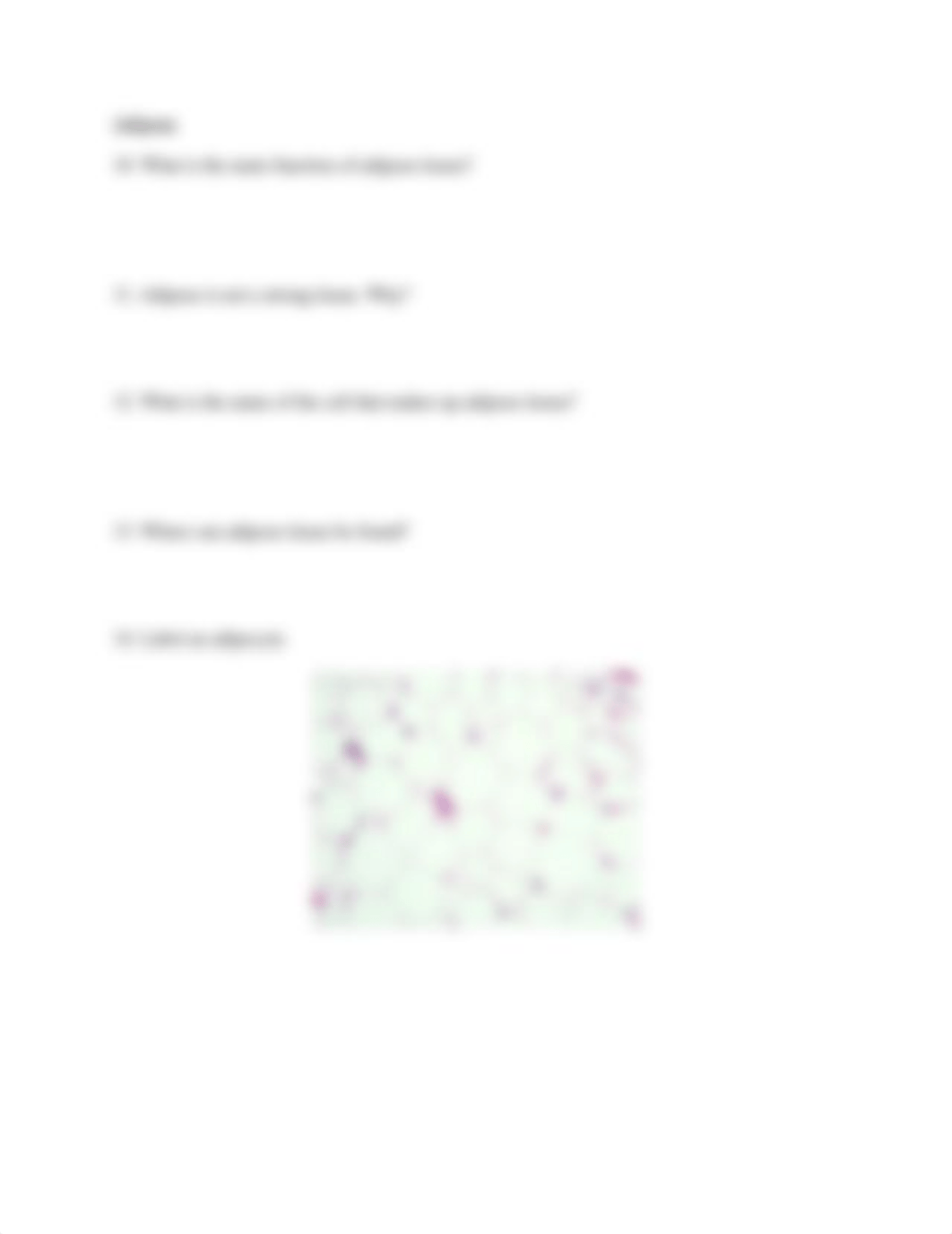 Lab 4 Lab Report Connective and Nervous Tissue.docx_dm5gp97sx3i_page3