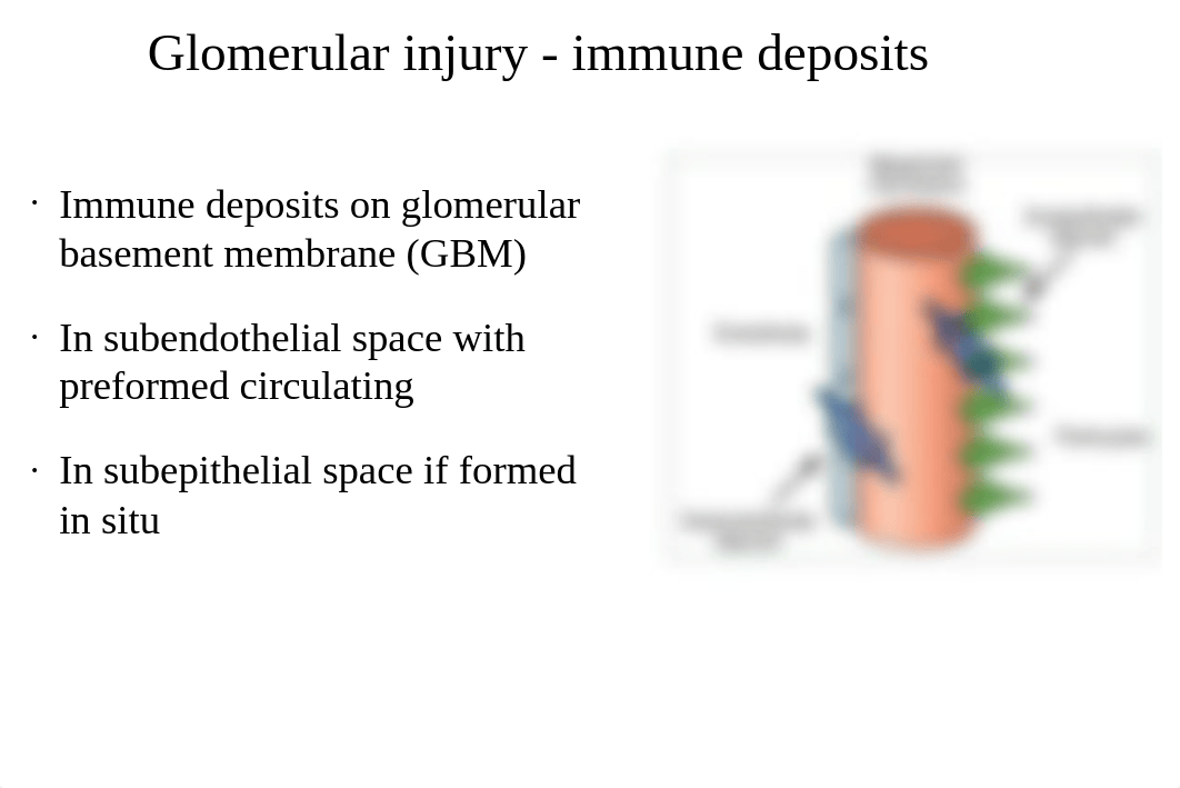 RX311-Class 55-Glomerulonephritis-shorter_dm5i33pldmq_page4