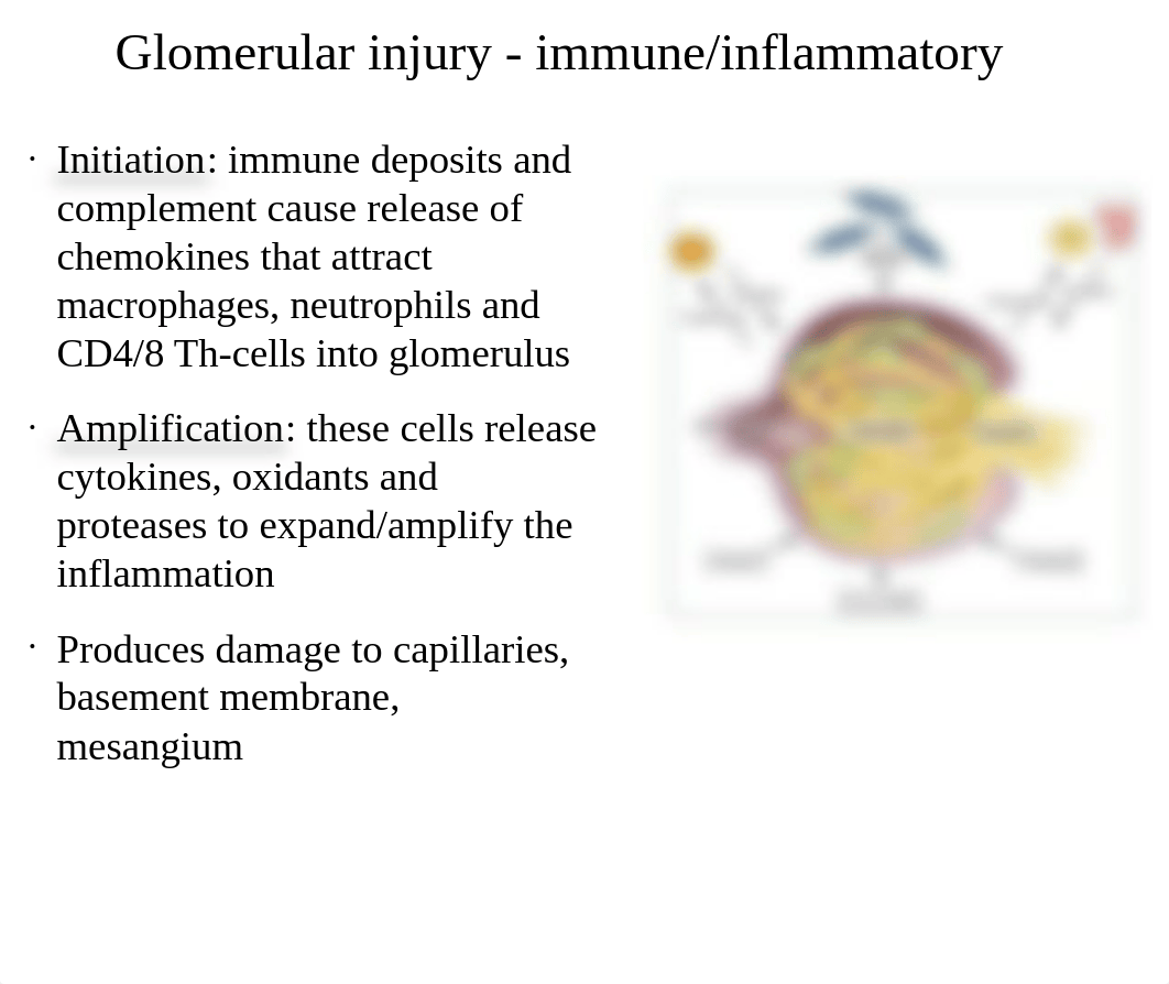 RX311-Class 55-Glomerulonephritis-shorter_dm5i33pldmq_page5