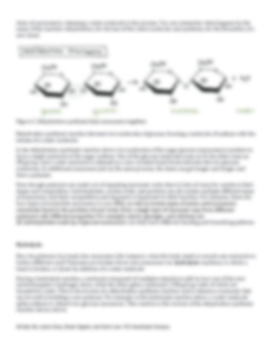 Bi101 Lab 4 Macromolecules.docx.pdf_dm5uncw3g5z_page3