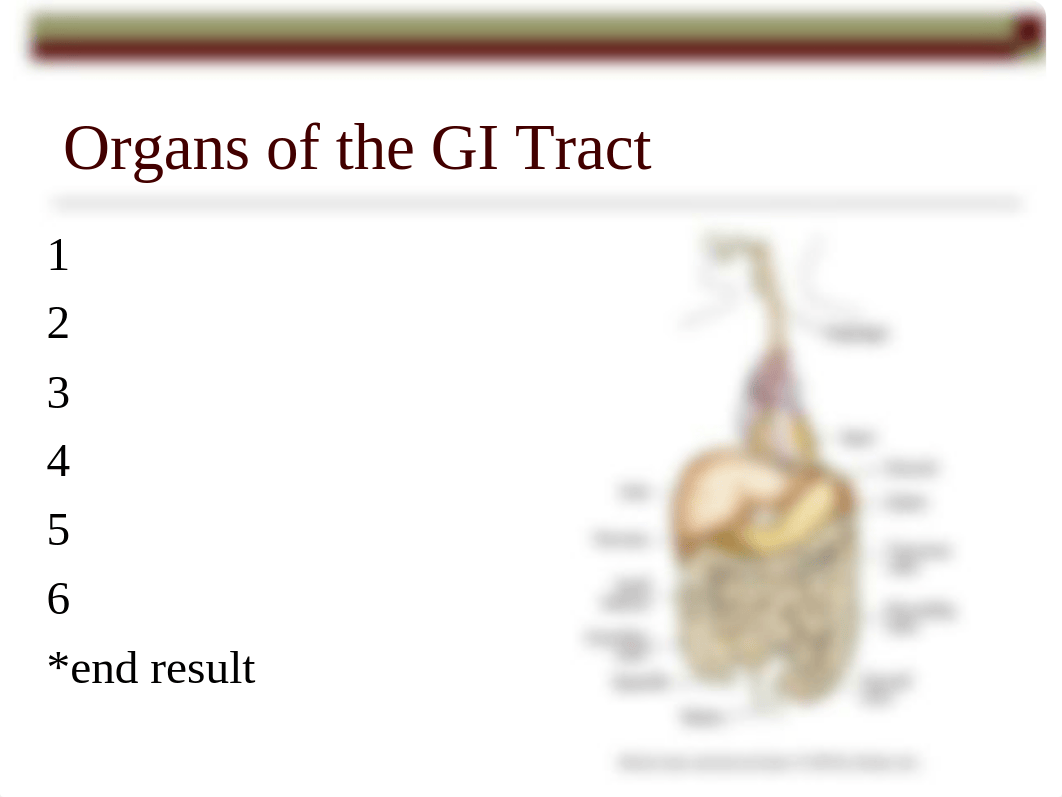 Bowel Elimination  Study Guide Fall 2014_dm623osr27a_page2