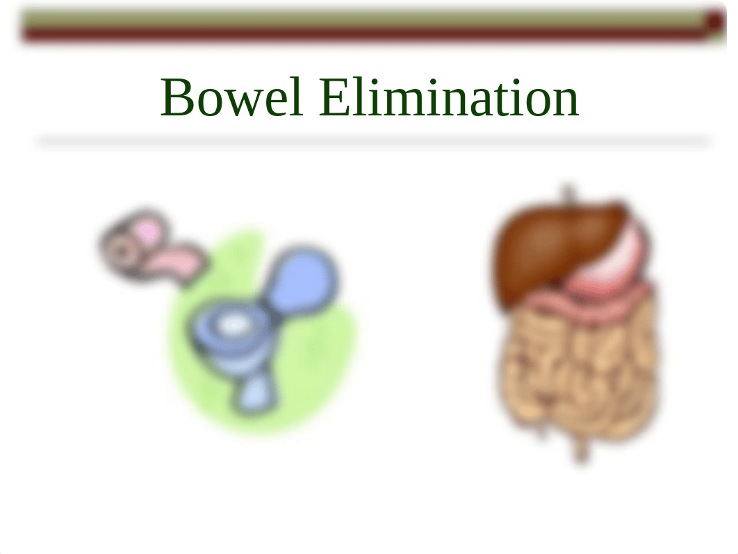 Bowel Elimination  Study Guide Fall 2014_dm623osr27a_page1