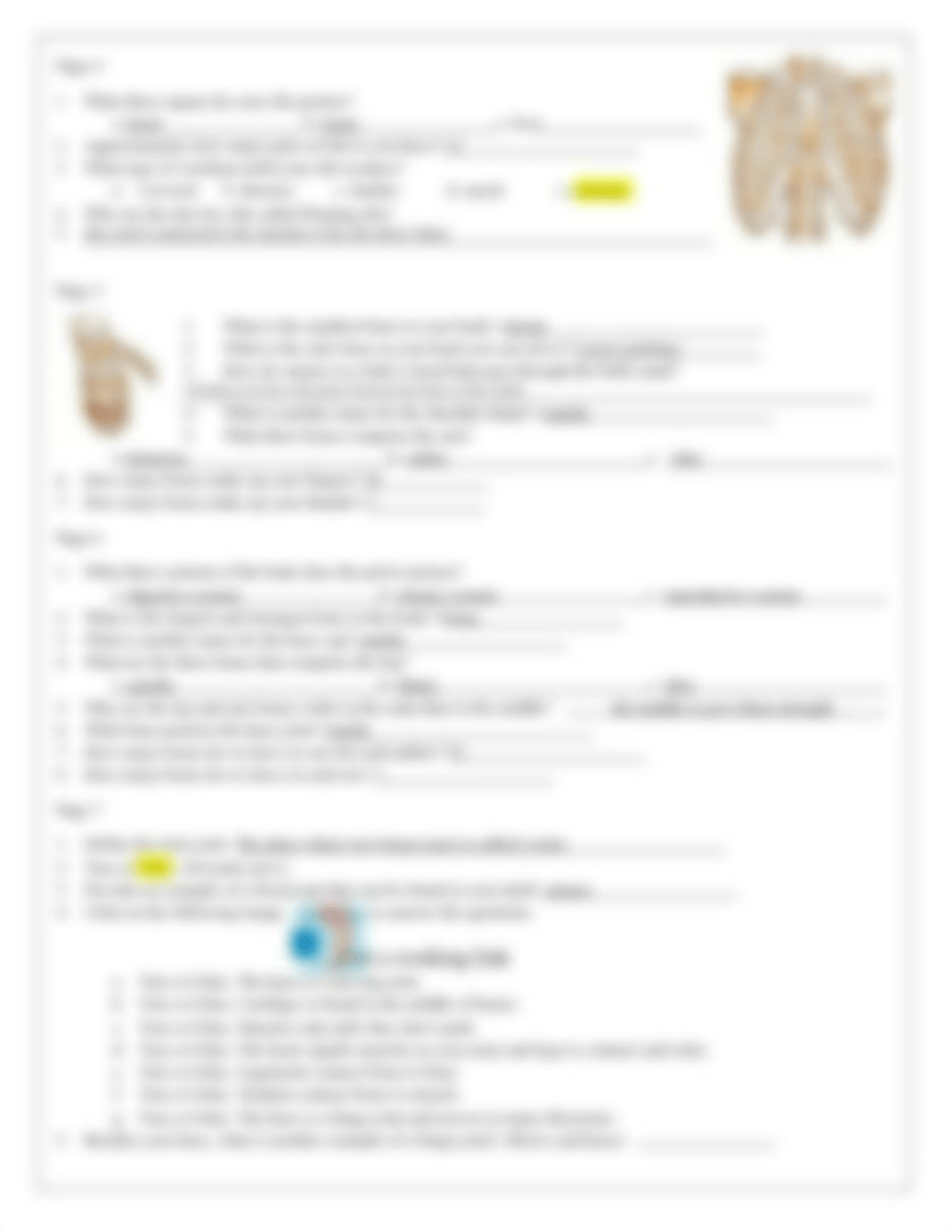 skeletal_system_webquest.docx_dm64tcn2zag_page2