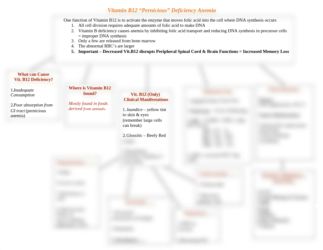 Vit B12 Def. Anemia Concept Map.doc_dm6o5nhh70x_page1