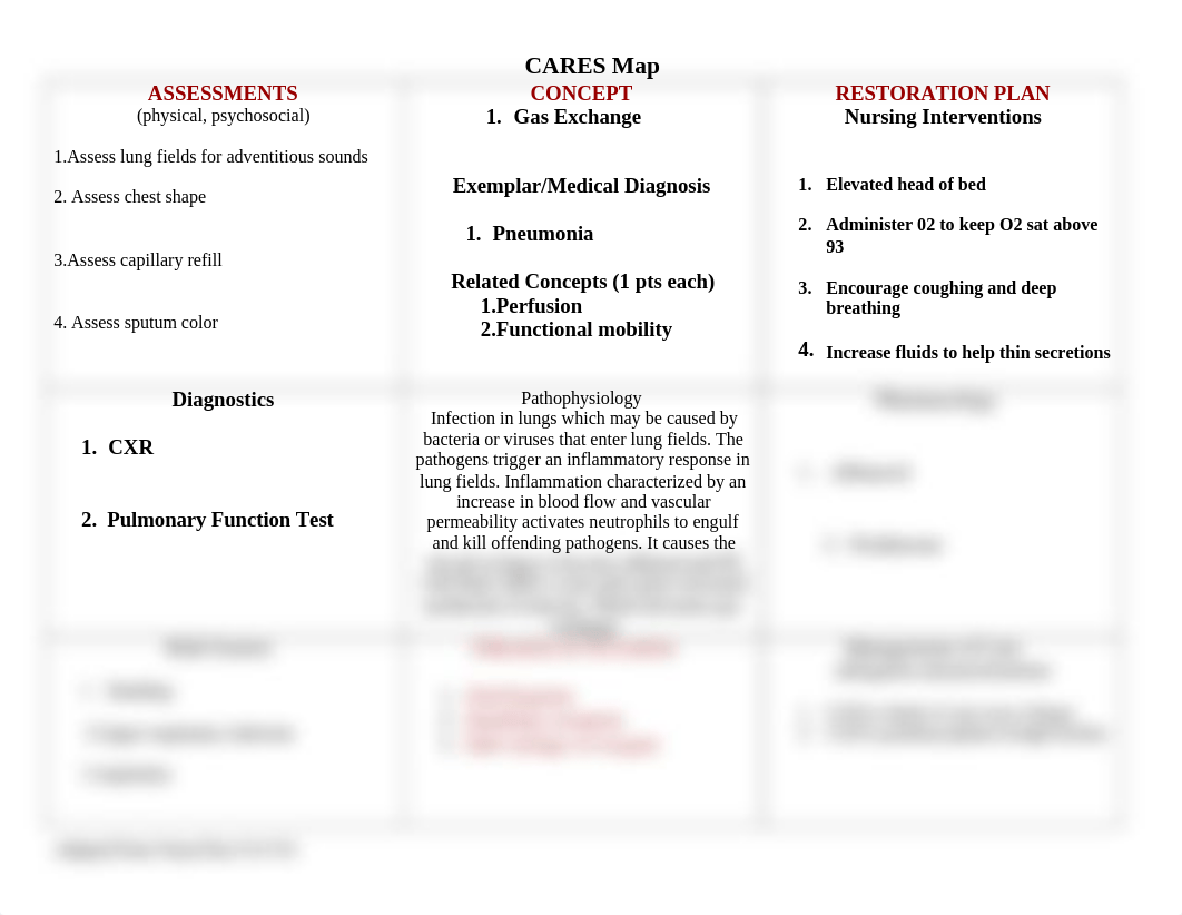 Care Map for Pneumonia 2021(2).docx_dm6oeqtg6ck_page1