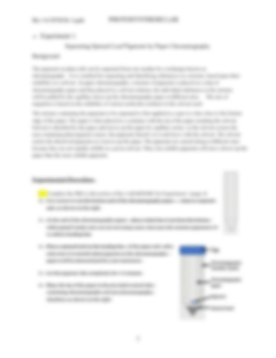 Photosynthesis LAB OL - Raymond Mei.pdf_dm6r2w16pdg_page2