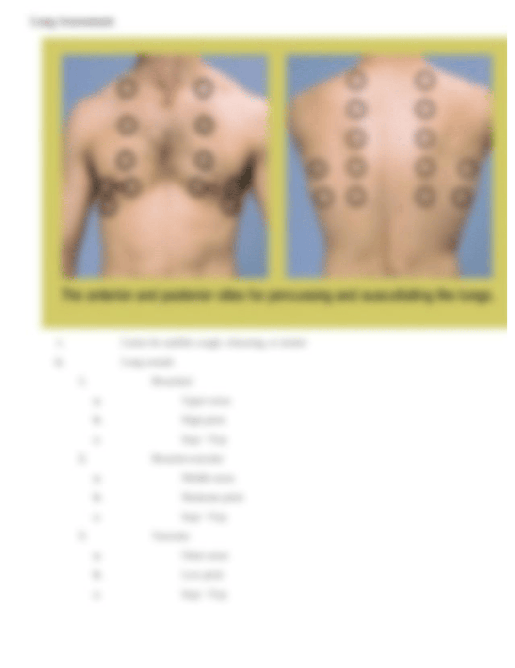 Lung Assessment Notes.docx_dm6ytex68b6_page3