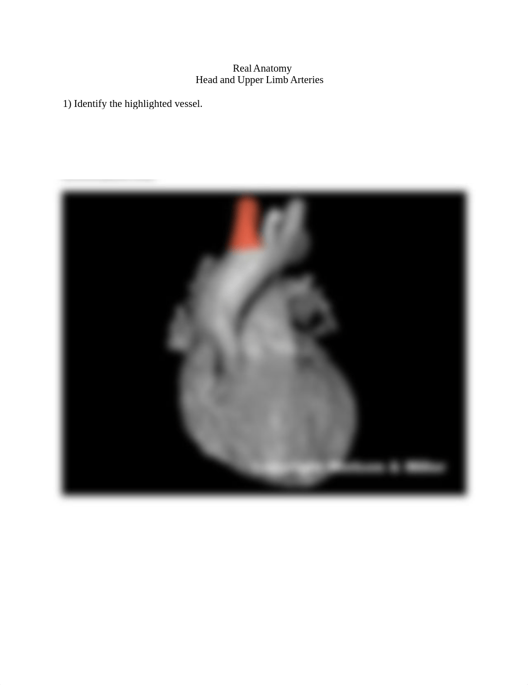 39_head_and_upper_limb_arteries_AnswerKey.docx_dm70z7cyaaf_page1