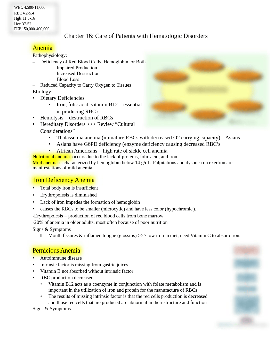 Chapter 16 STUDY GUIDE.docx_dm75xarvs14_page1