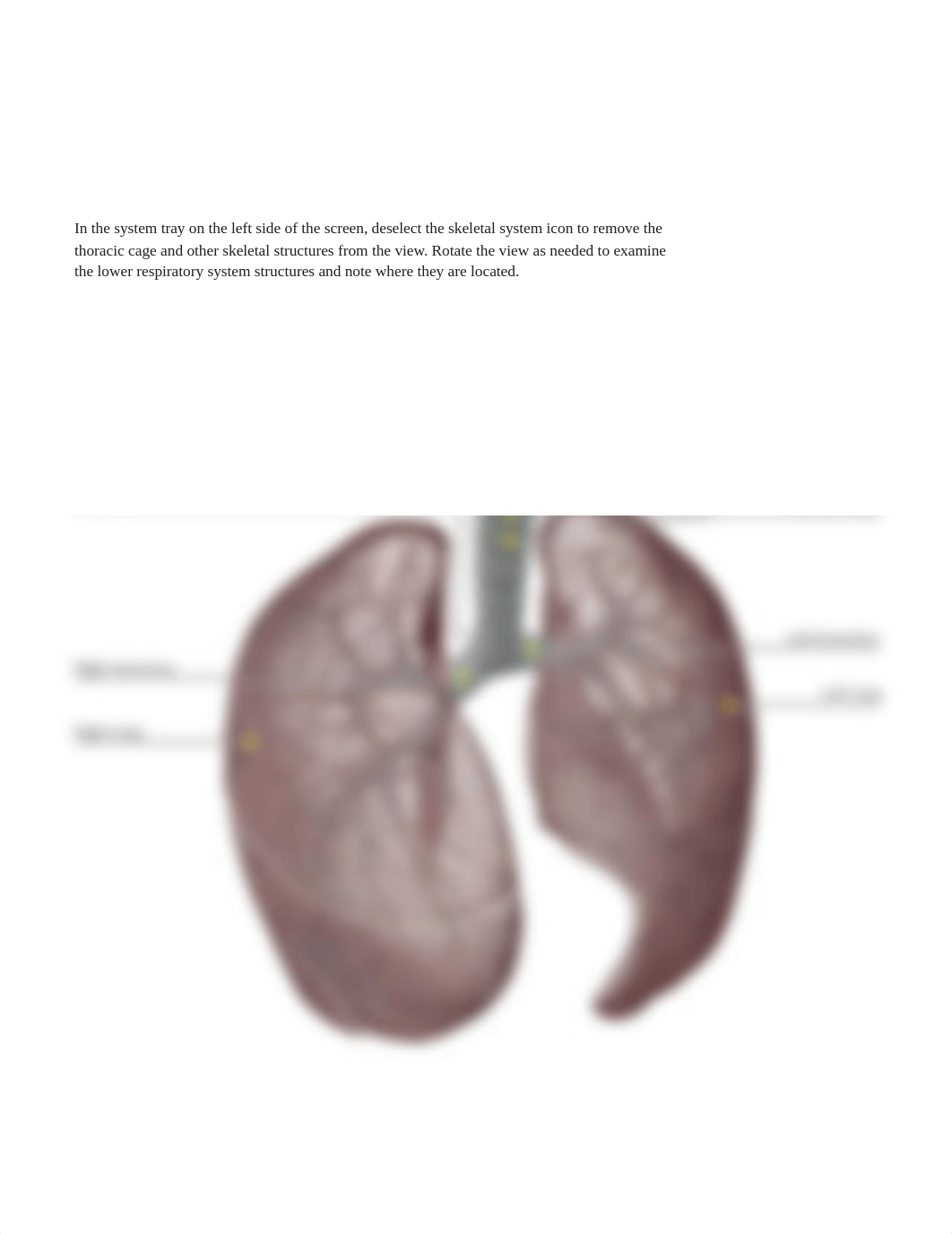 Levchuk_Biol242_ Lab 5.pdf_dm775zk70wz_page2