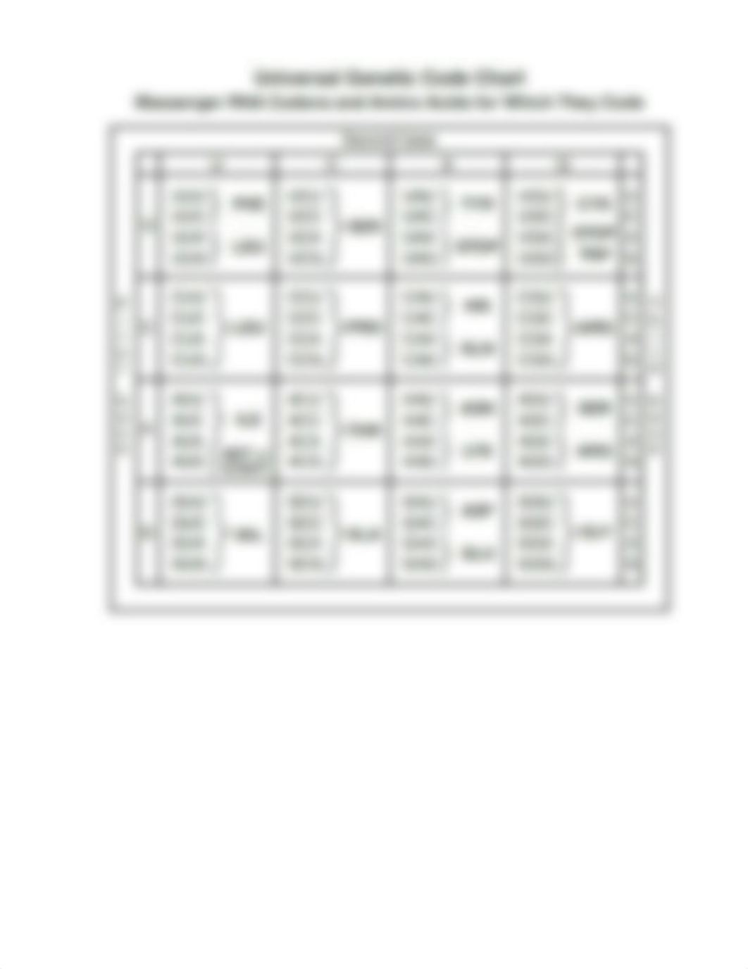 Aurum Science Protein Synthesis Worksheet.docx_dm7deo6gkpf_page4