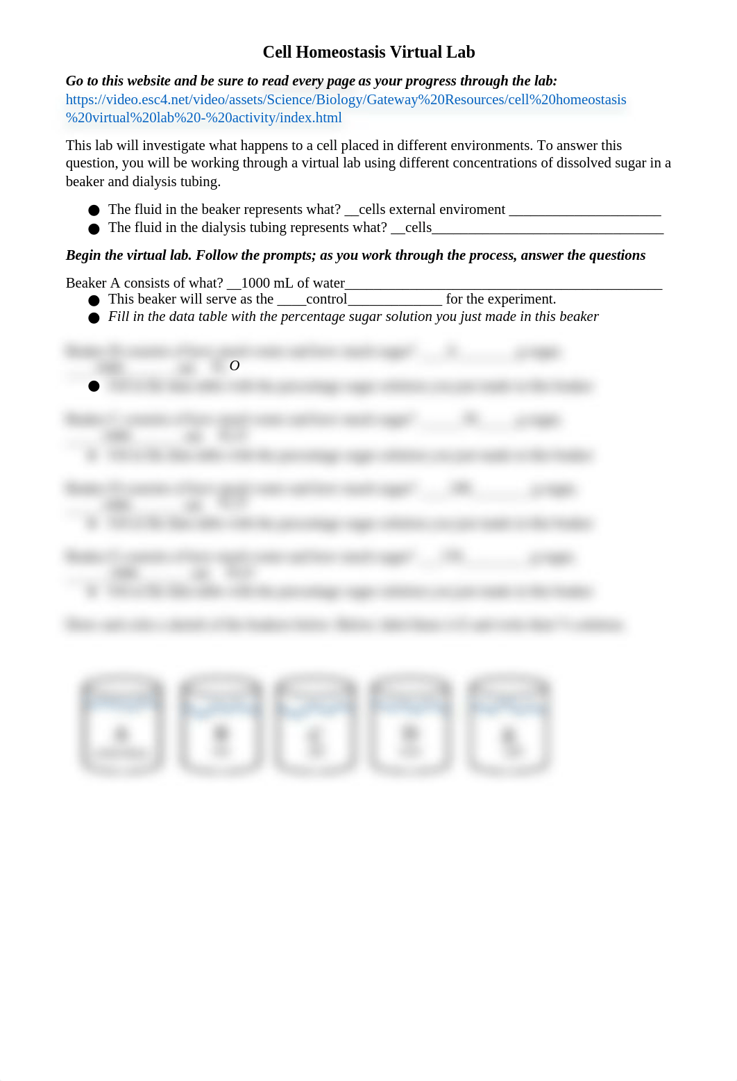 Mikaela Clark - Cell Homeostasis Virtual Lab.docx_dm7dxy7c88a_page1