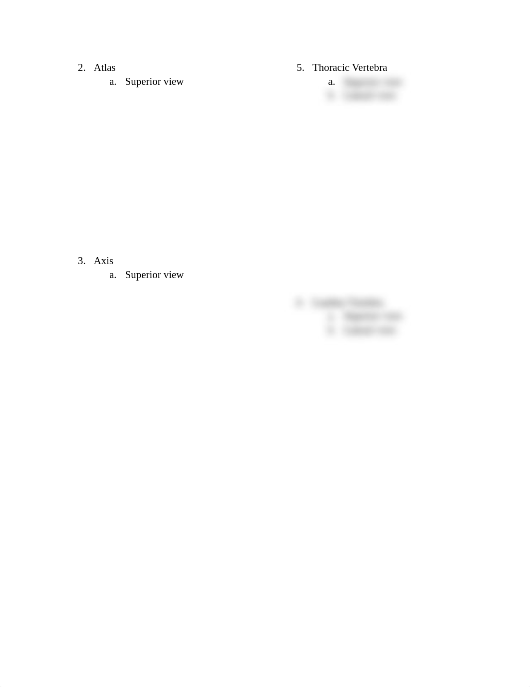 Lab 3 Bone Drawing_dm7e0eb7gqi_page4