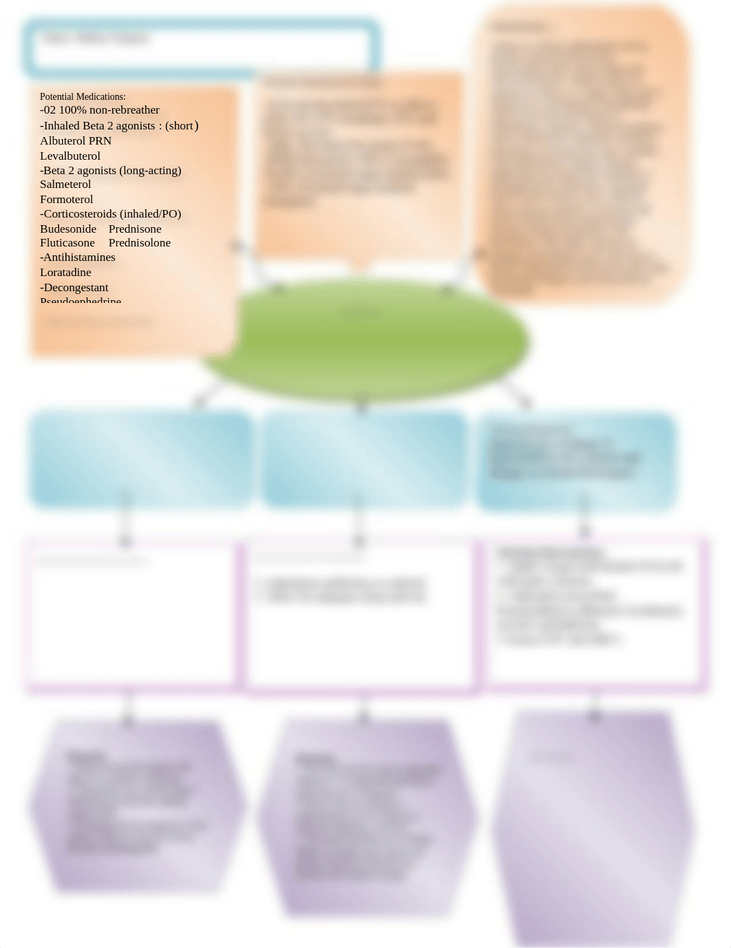 Peds Week 1 Concept Map- Sabina Vasquez.doc_dm7e3mmv5xo_page1