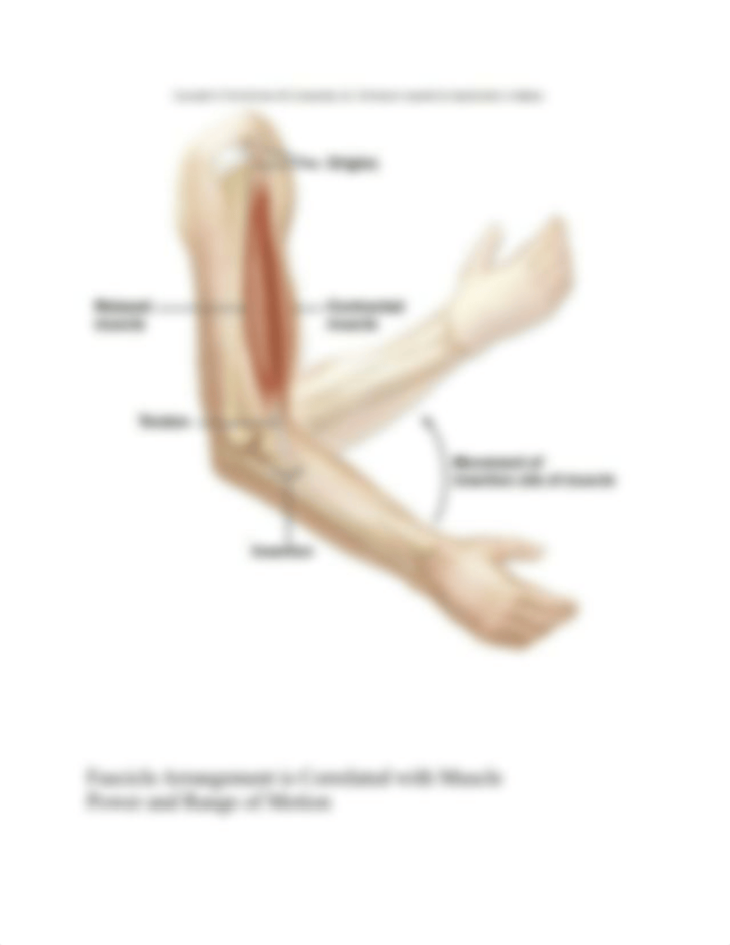 Chapter 11 Lab axial.docx_dm7hlsdf2av_page3