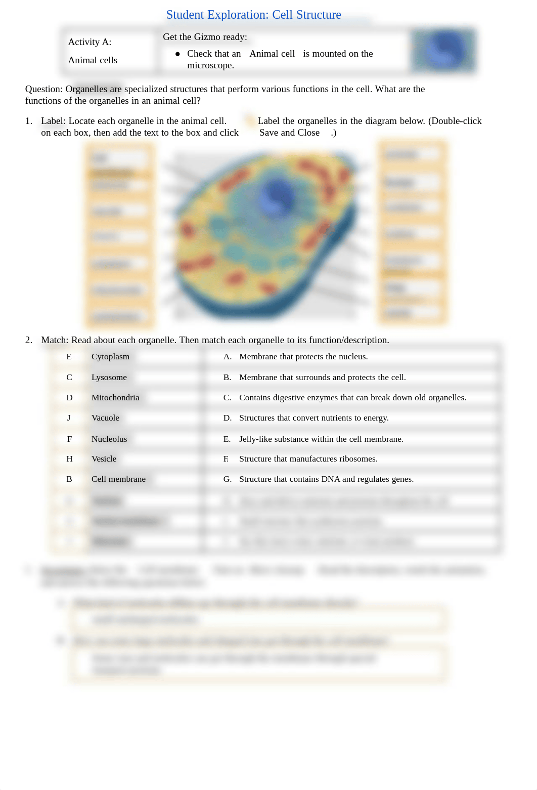 Copy of Cells Intro Gizmos (1).pdf_dm7hmzh3y98_page1