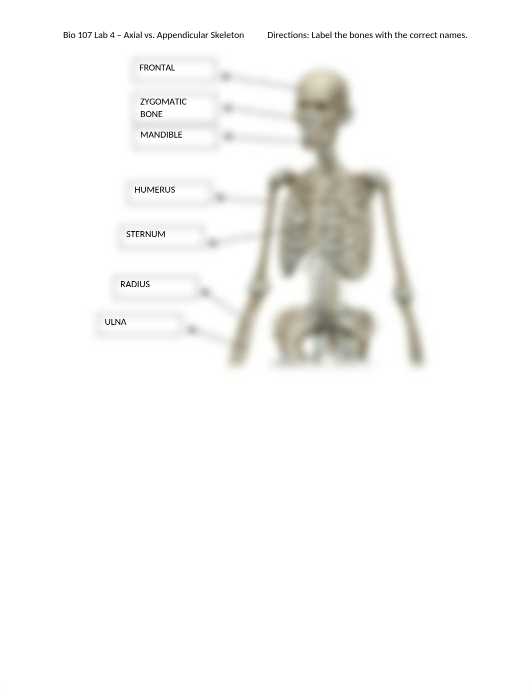 Bio 107 Lab 4 - Axial vs. Appendicular Skeleton.docx_dm7kgba4tb8_page1