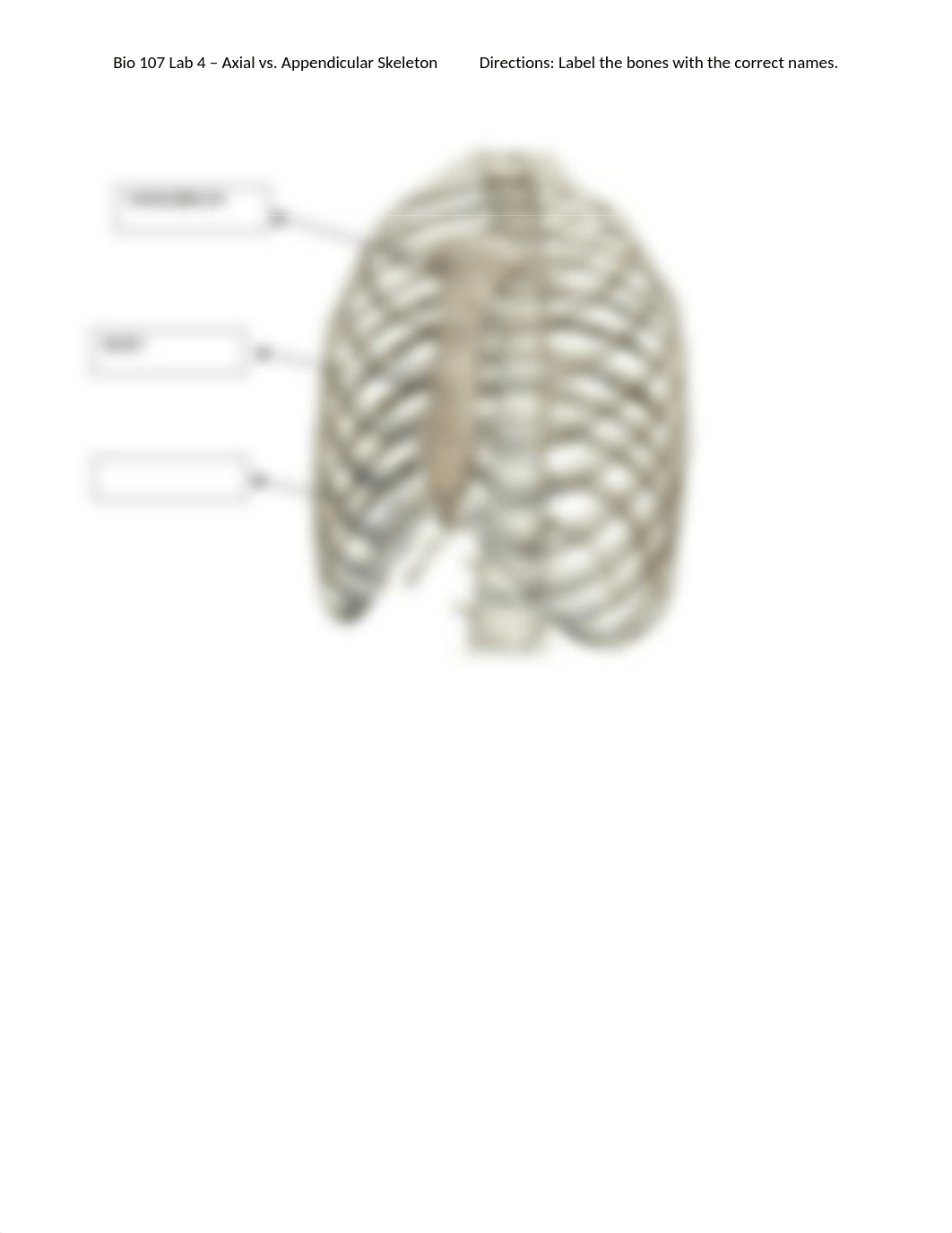 Bio 107 Lab 4 - Axial vs. Appendicular Skeleton.docx_dm7kgba4tb8_page5