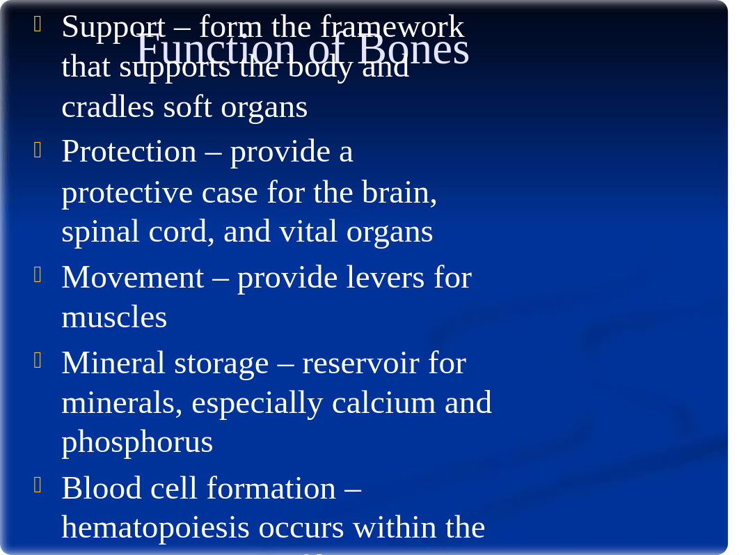 6. Skeletal System_dm7li5osy8d_page5