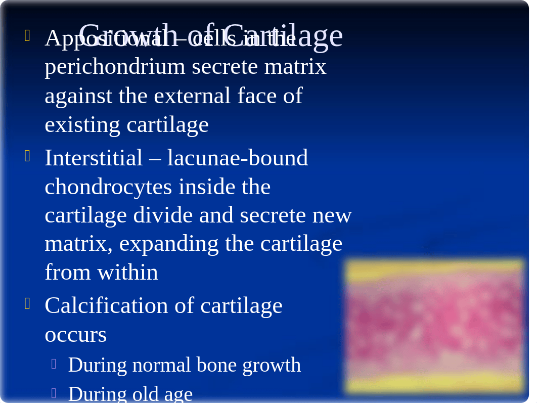 6. Skeletal System_dm7li5osy8d_page4