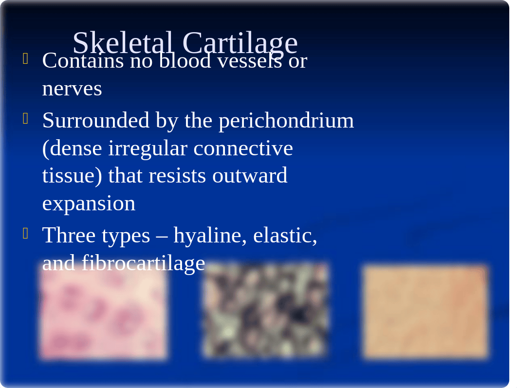 6. Skeletal System_dm7li5osy8d_page2