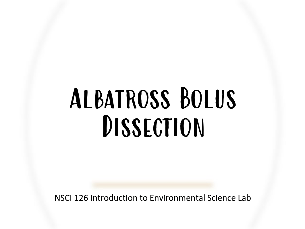 Albatross+Bolus+Dissection+Presentation.pdf_dm7tjb4m2q7_page1