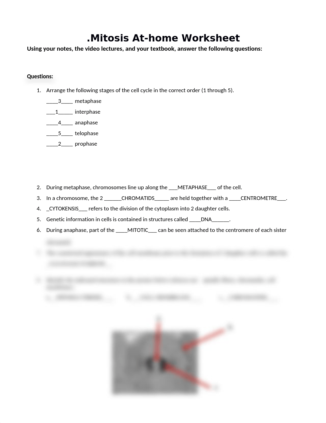 mitosis at-home worksheet 107-1.docx_dm8cgv6ow7d_page1