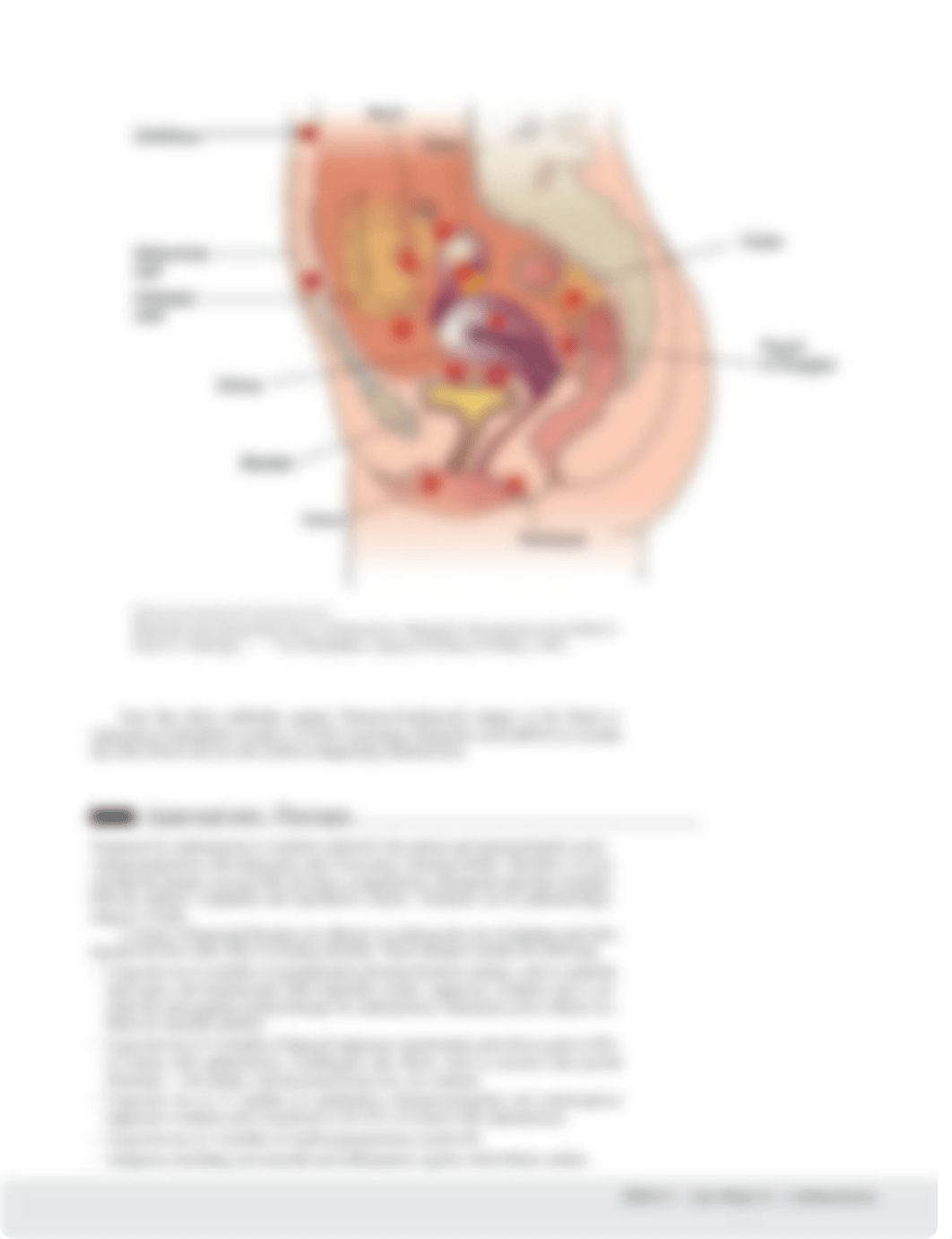 2c.  PATIENT CASE - Endometriosis - Disease Summary.pdf_dm8f1wd1nid_page3