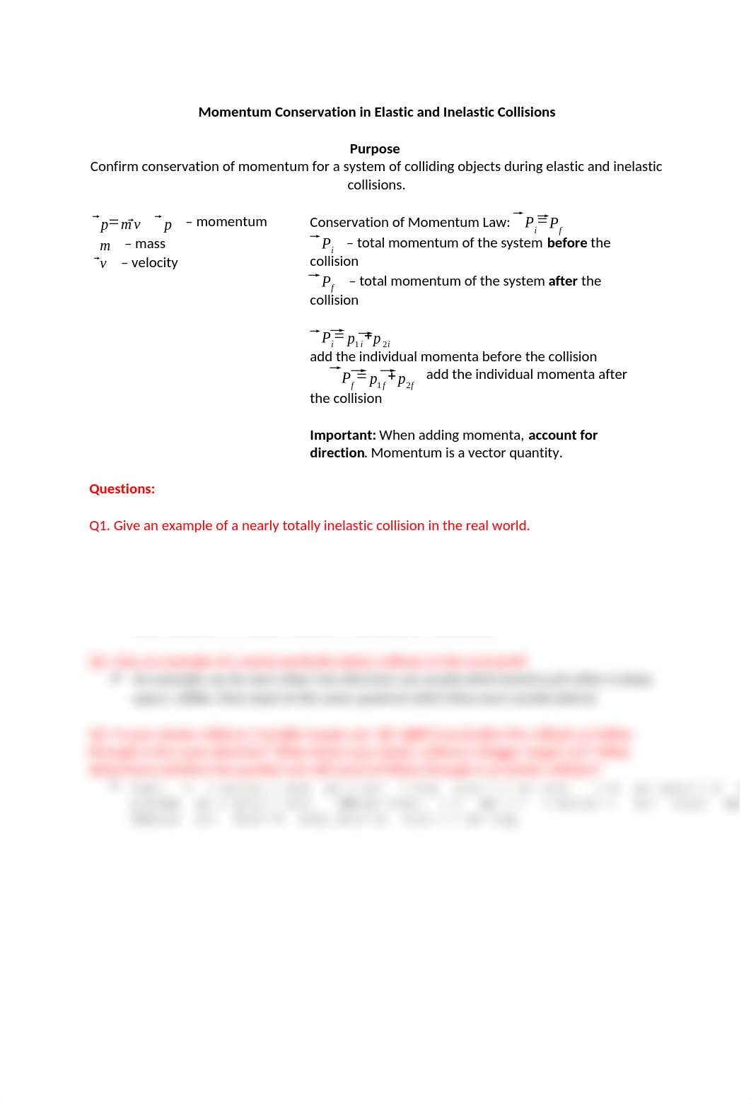 Lab 7 Momentum (2021).docx_dm8fglh9hsm_page1