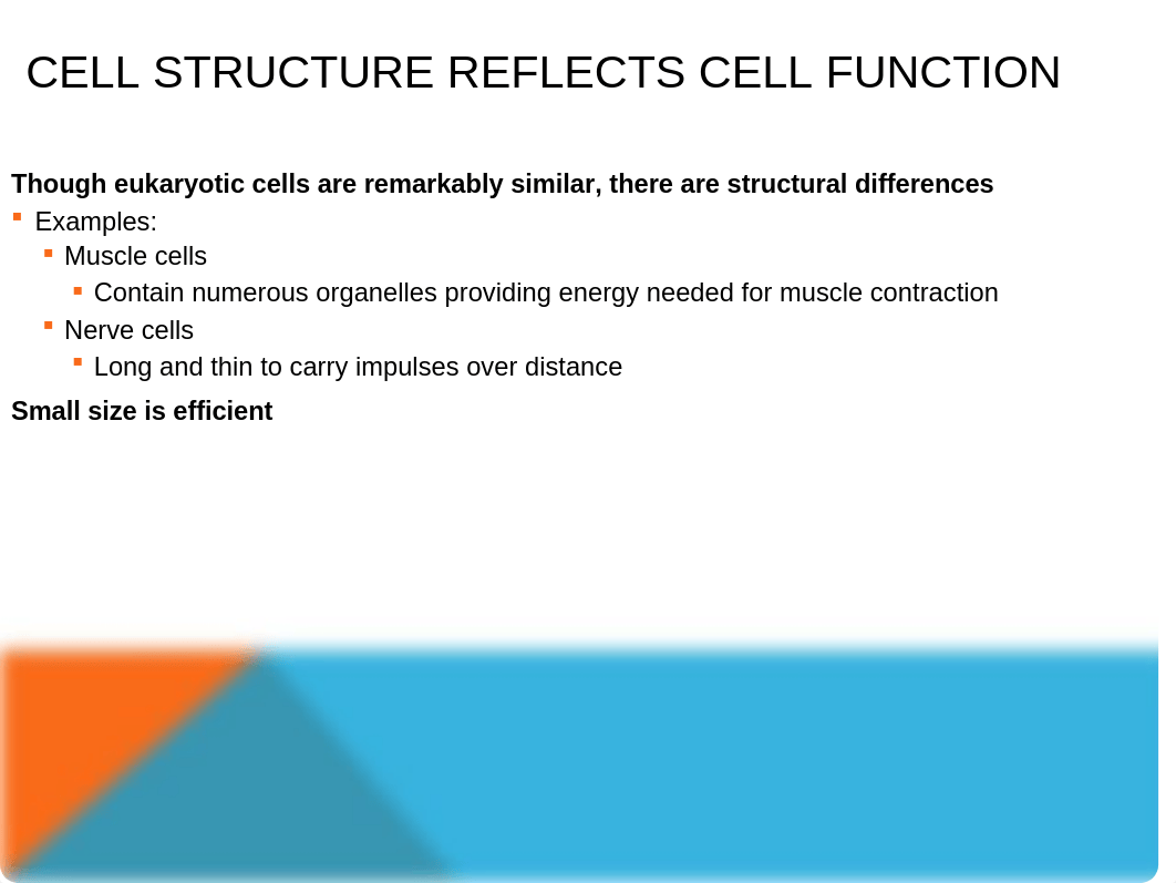 Chapter 3 Human Biology_dm8hld6rh47_page5