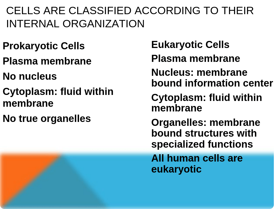 Chapter 3 Human Biology_dm8hld6rh47_page3