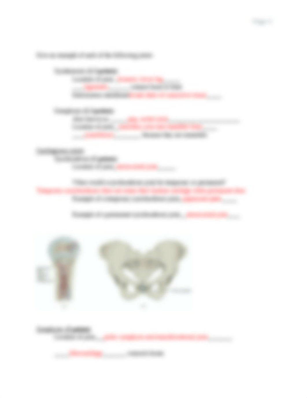 BIO 201 Chapter 9 Joints Assignment OPS.docx_dm8jwtvdi93_page4