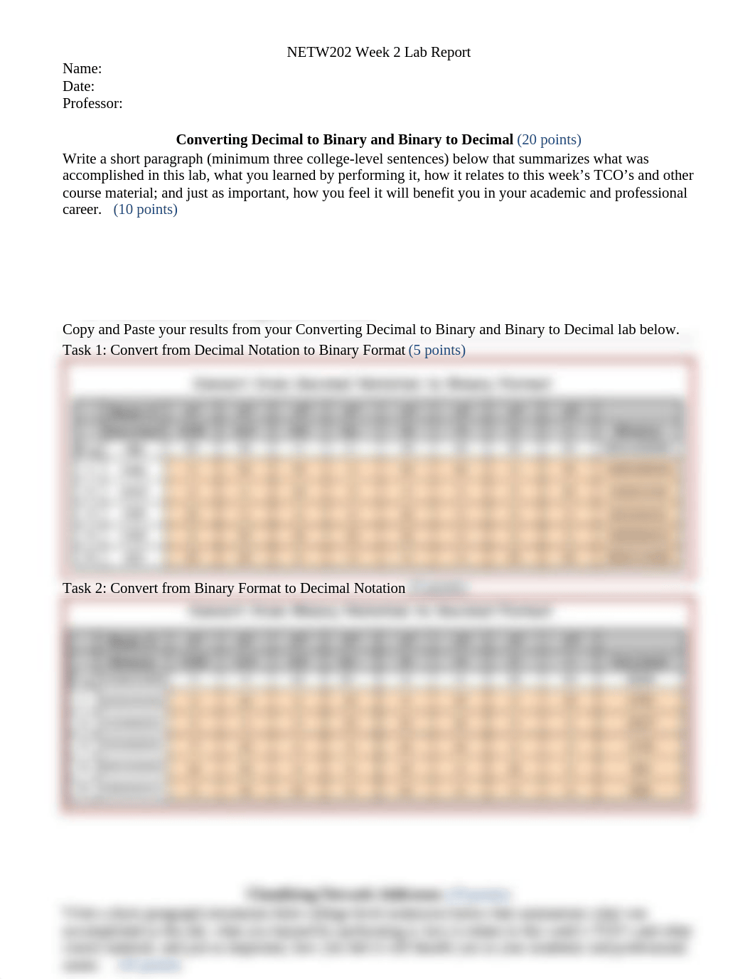 netw202Week2LabReport_dm8lp9ts4cf_page1