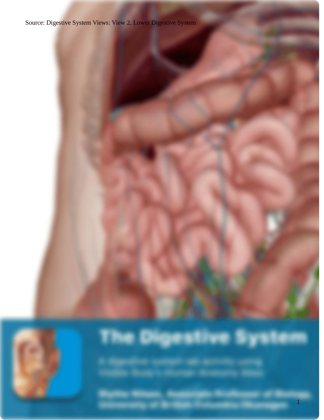 digestive system.pdf_dm8q3yezbn5_page1