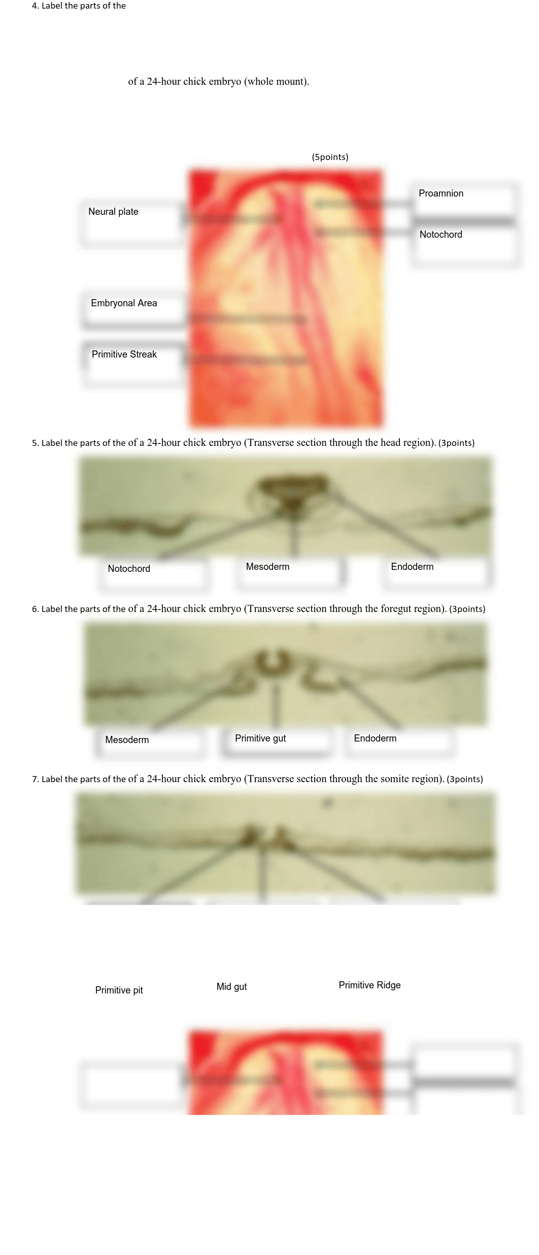 MarB16-Exercis 7_Sidra.pdf_dm8rk3nyuqj_page2