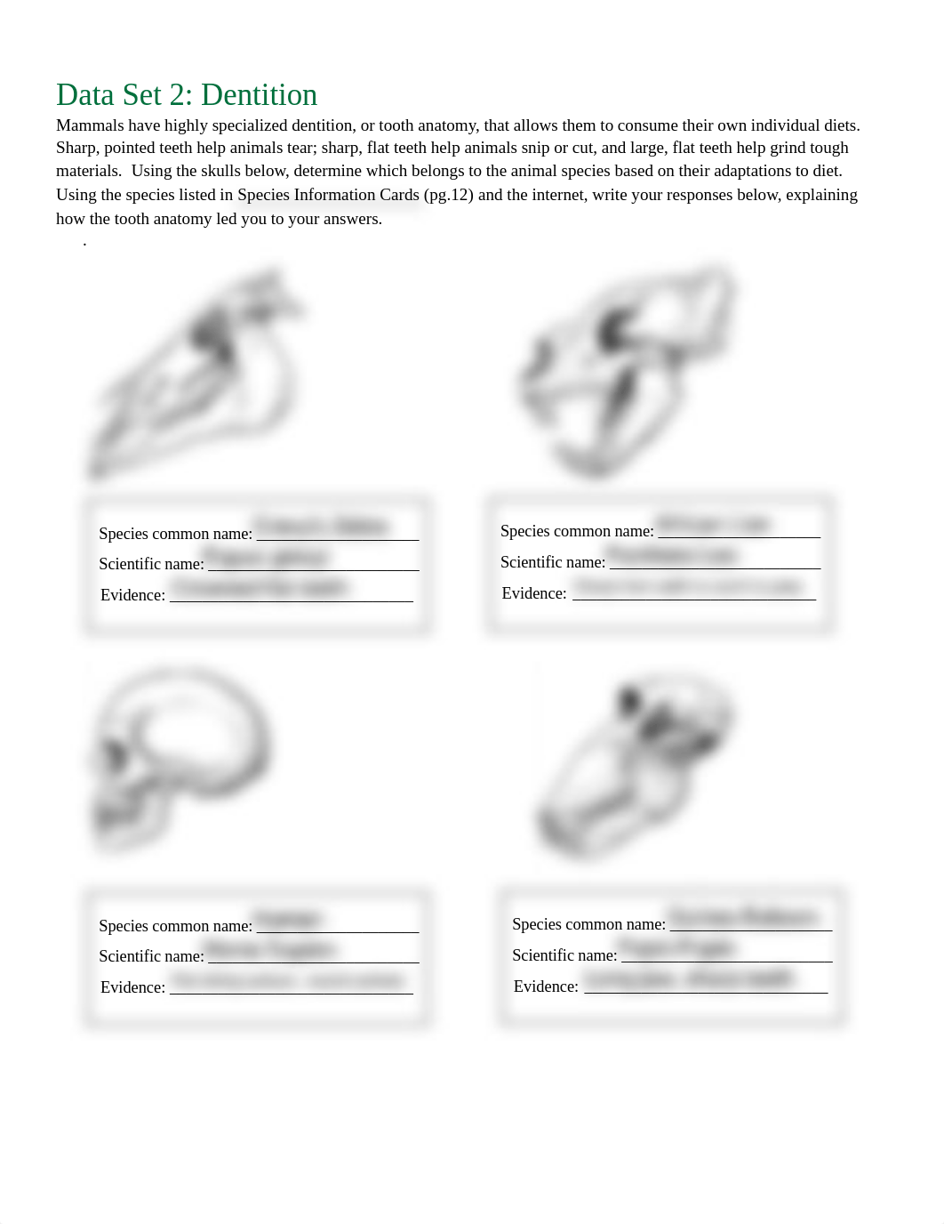 AnimalNutritionLabV2 PDF.pdf_dm922jbd72d_page4