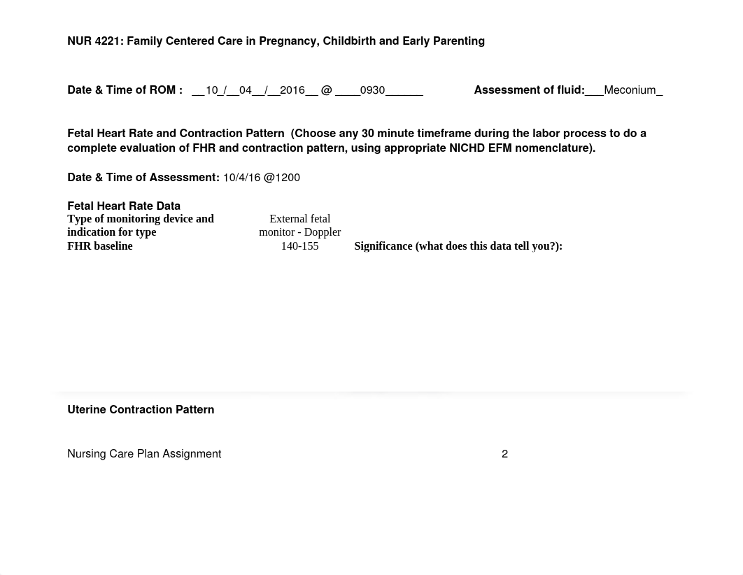 Maternal Care Plan 1_dm92uh6wc16_page2