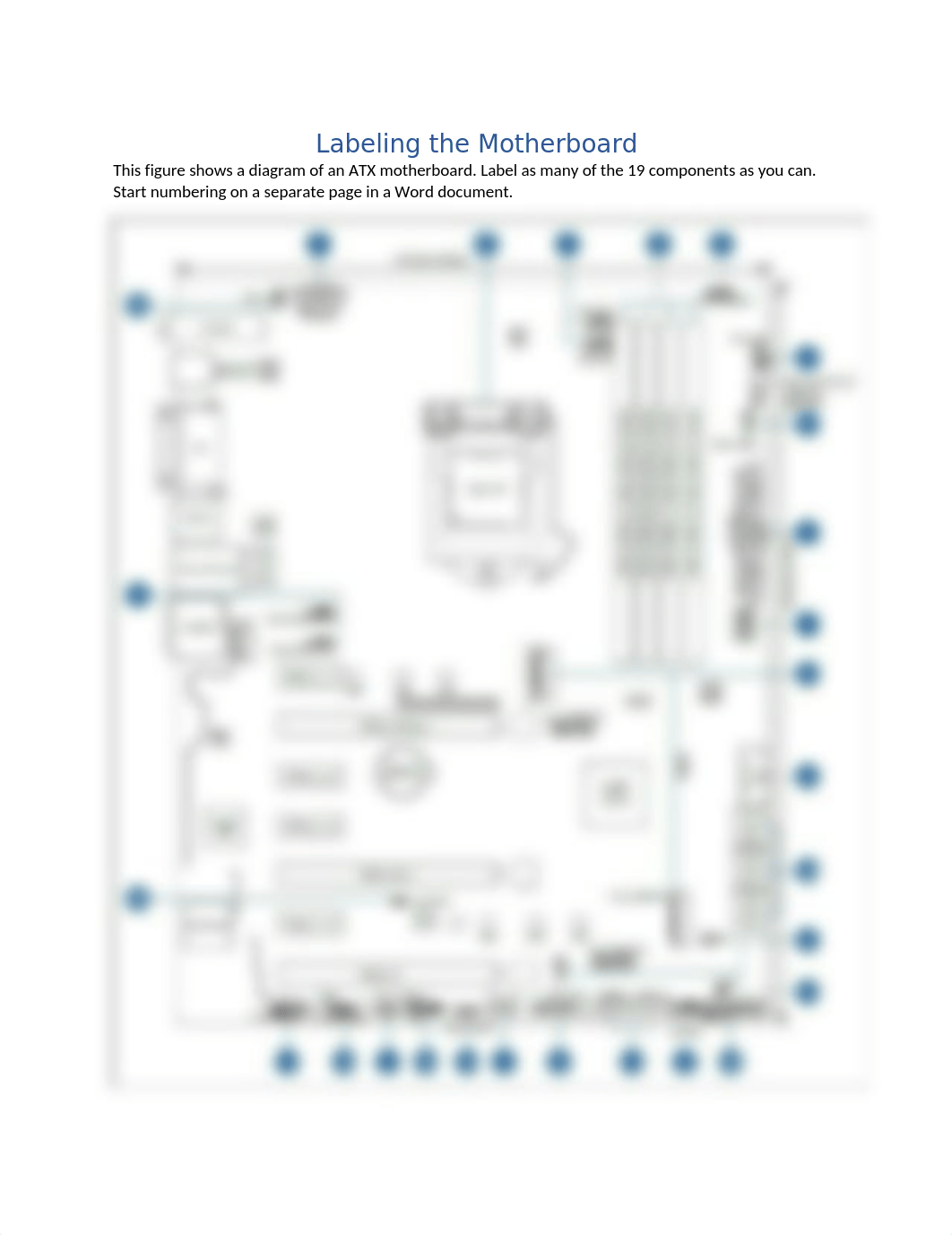 Labeling a Motherboard.docx_dm95dutltf6_page1