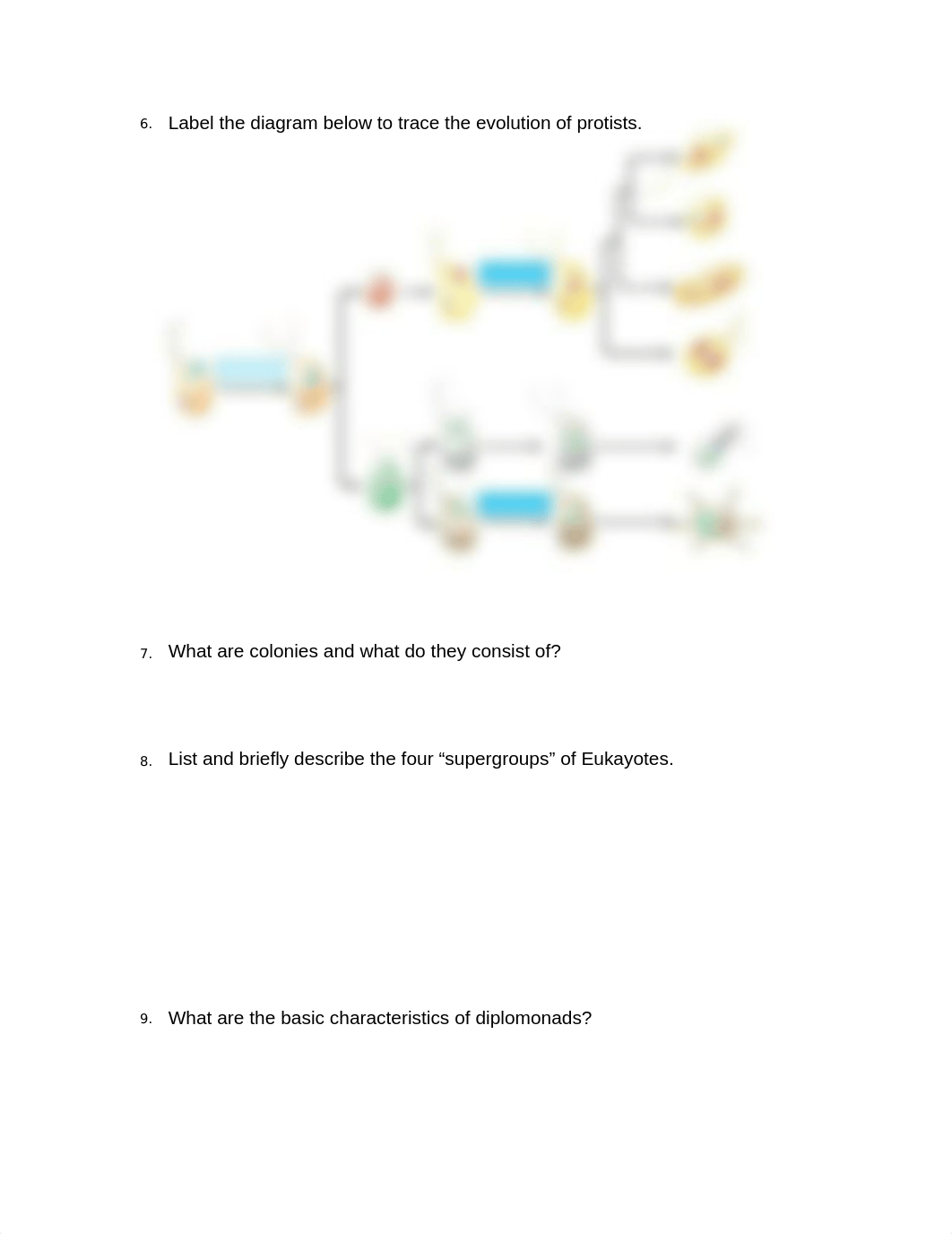 DC & MECC BIO 102 Chapter 25 GSW.doc_dm95t5abyvv_page2