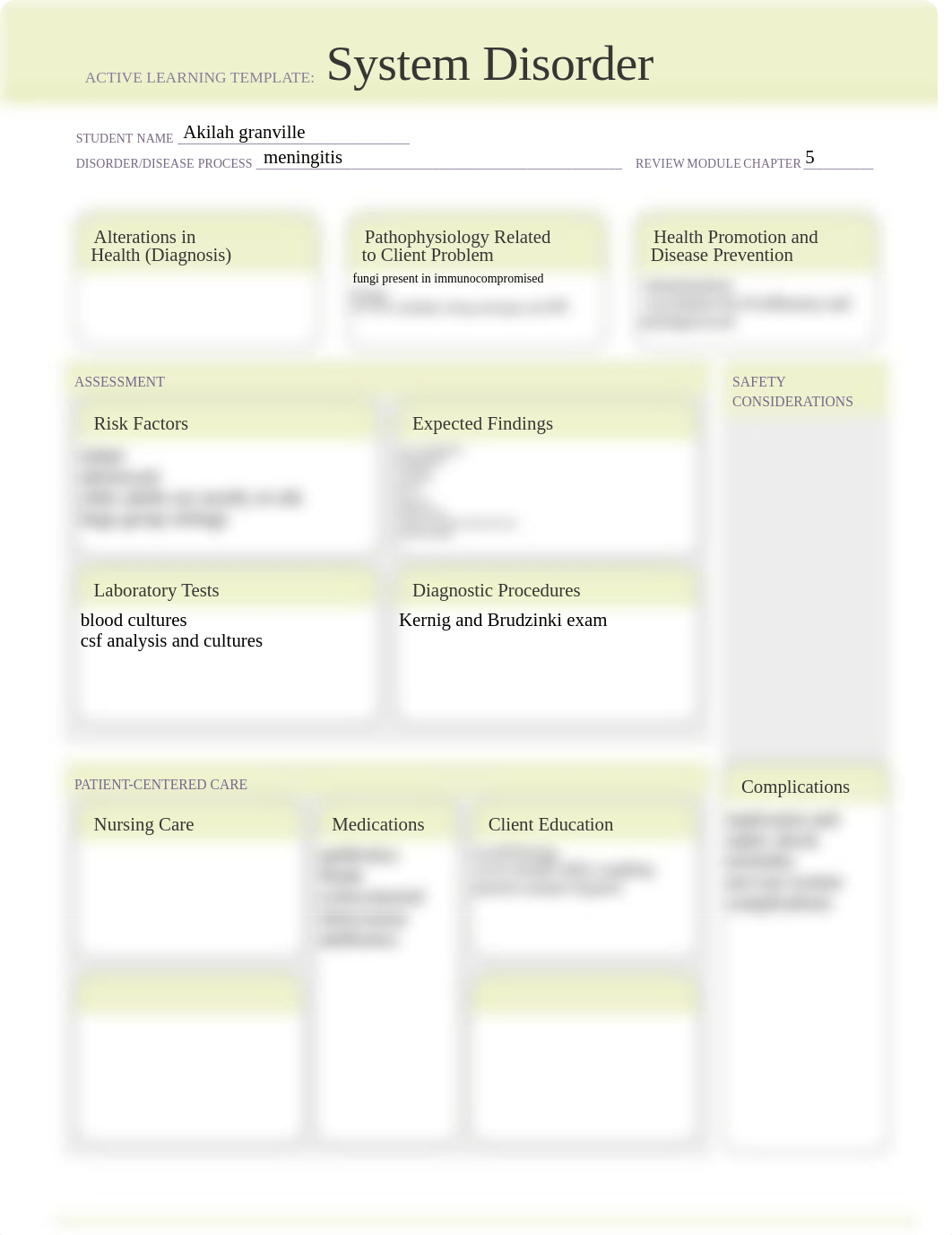 ATI System Disorder Learning Template (1).pdf copy.pdf_dm9785sgmd8_page1