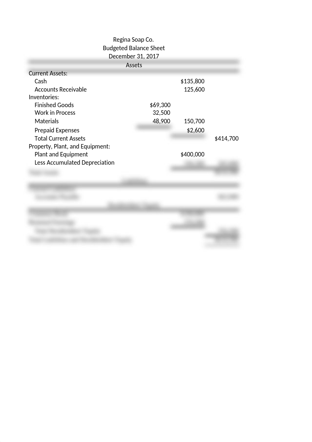 ACC211BalanceSheet-KayliMiller_dm99hbnbgib_page1