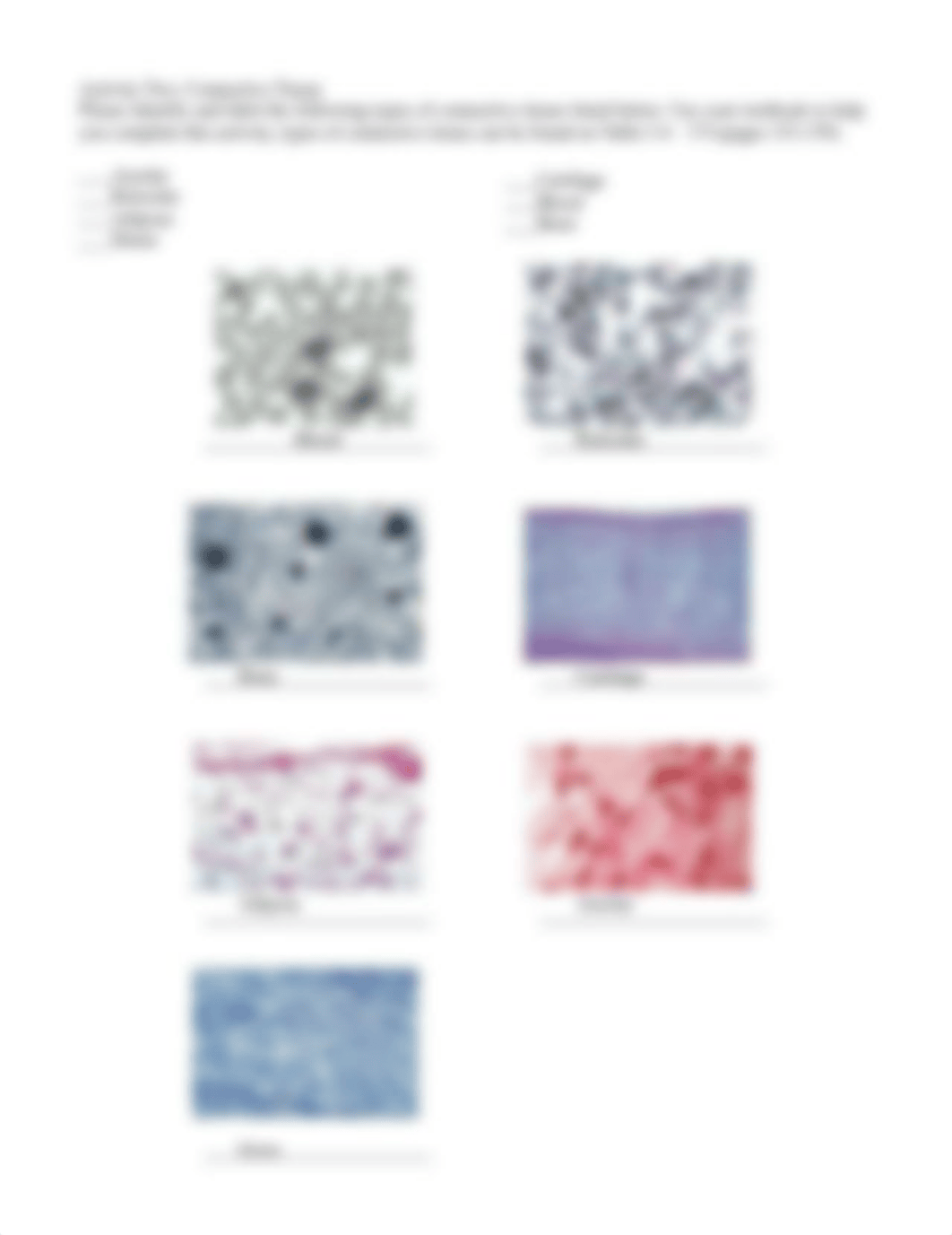 histology1_lab (1).docx_dm9lsccb50m_page3