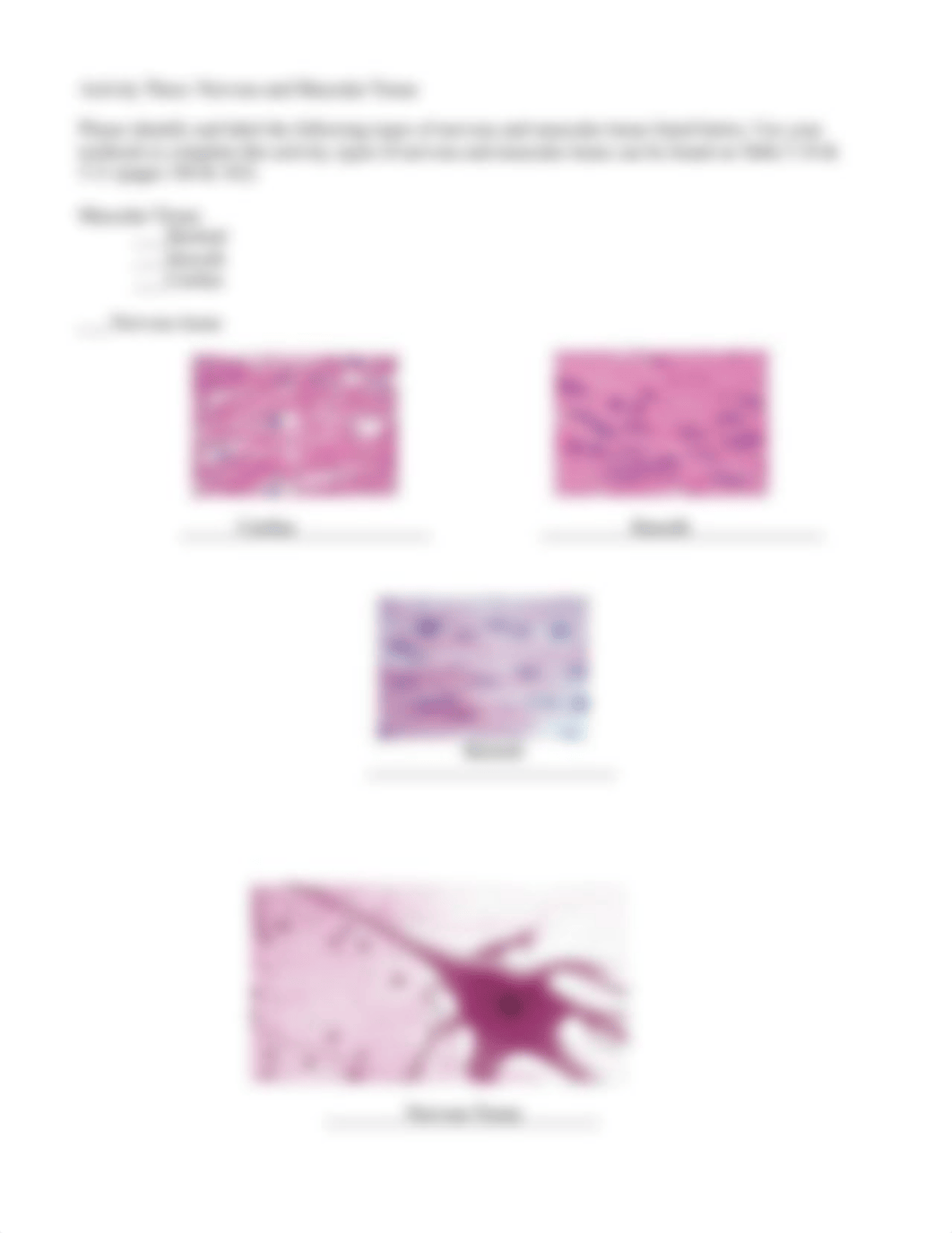 histology1_lab (1).docx_dm9lsccb50m_page4