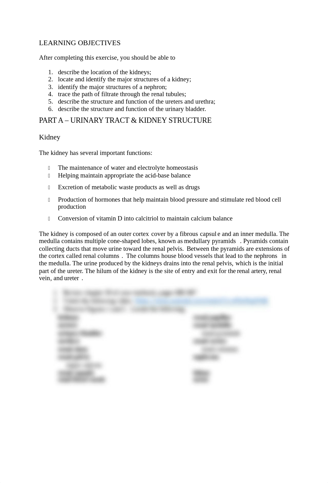 Brockman Structure of the Urinary System Feb 7_dm9tgwv1rfn_page2