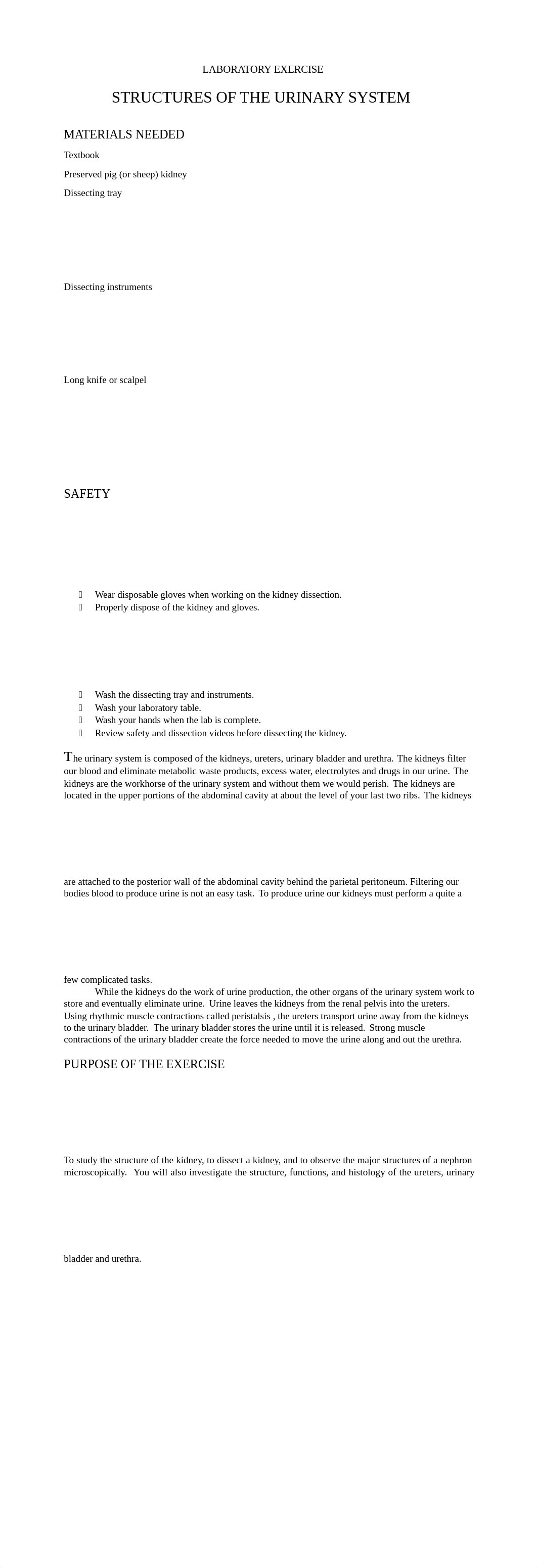 Brockman Structure of the Urinary System Feb 7_dm9tgwv1rfn_page1