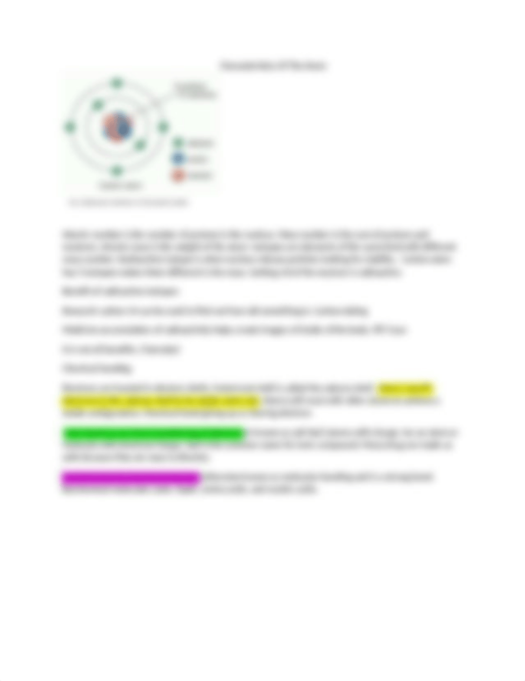 anatomy real notes.docx_dma7r1ysen6_page4