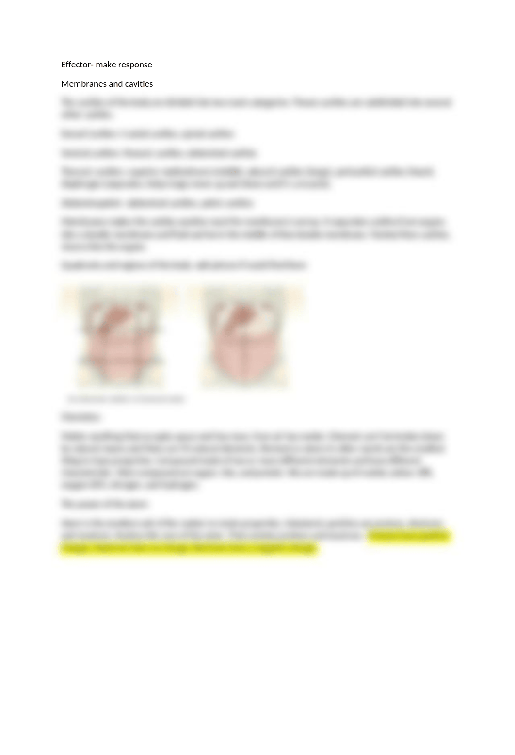 anatomy real notes.docx_dma7r1ysen6_page3