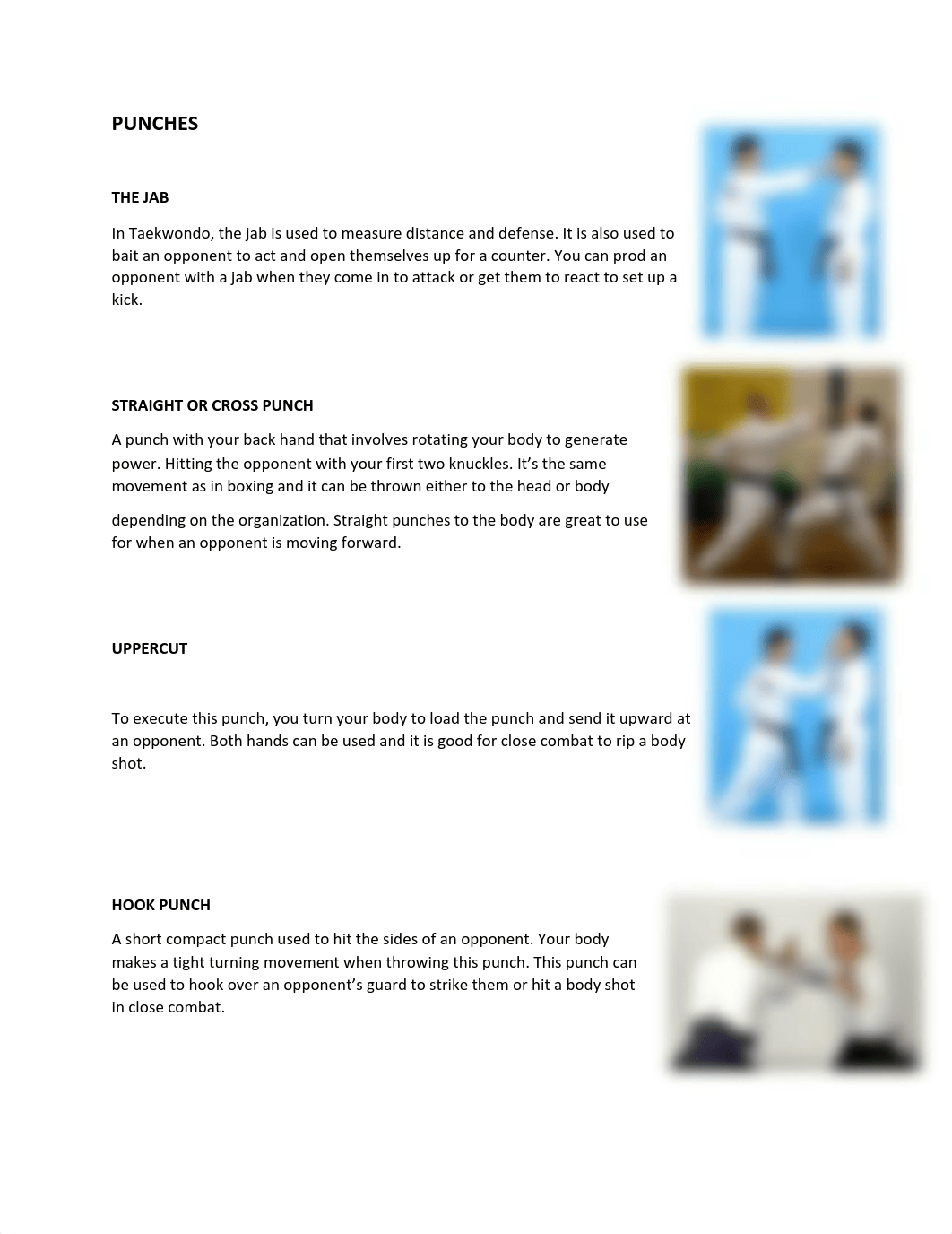 BASIC SKILLS IN TAEKWONDO.pdf_dma7t3aa2br_page3